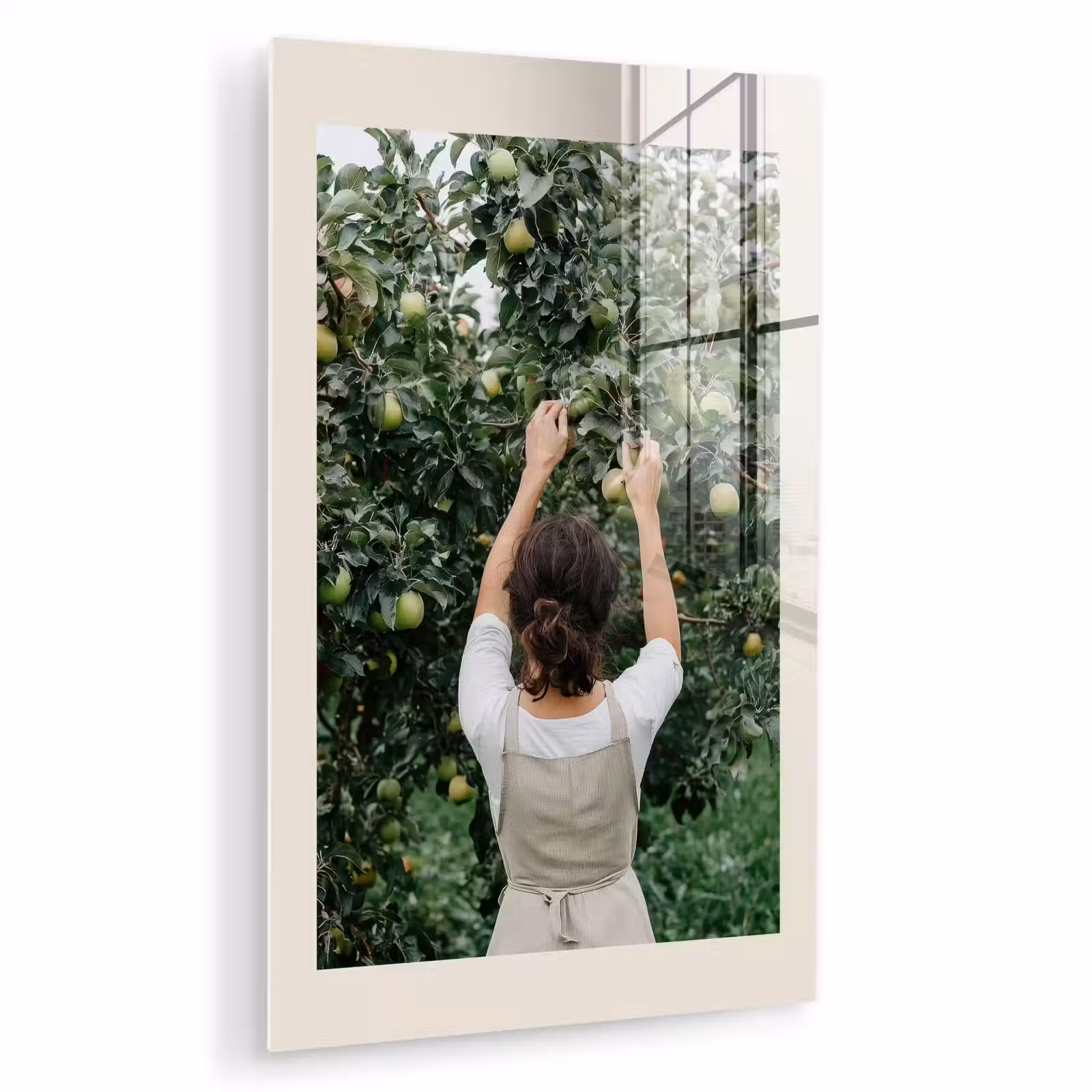 Glas schilderij - Boom - Appels - Plukken - Natuur — 1