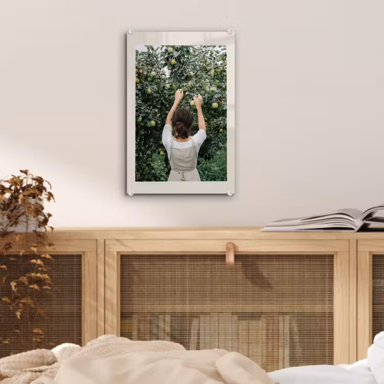Glas schilderij - Boom - Appels - Plukken - Natuur — 5