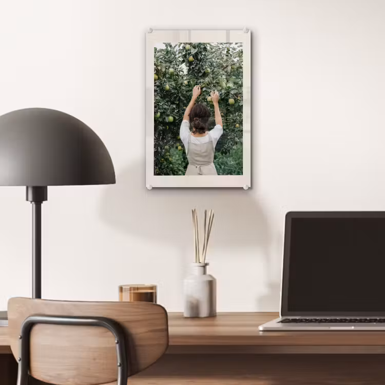 Glas schilderij - Boom - Appels - Plukken - Natuur — 7