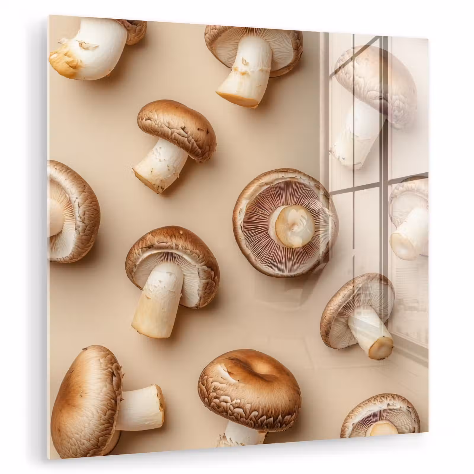 Glas schilderij - Kastanje Champignons - Beige — 1
