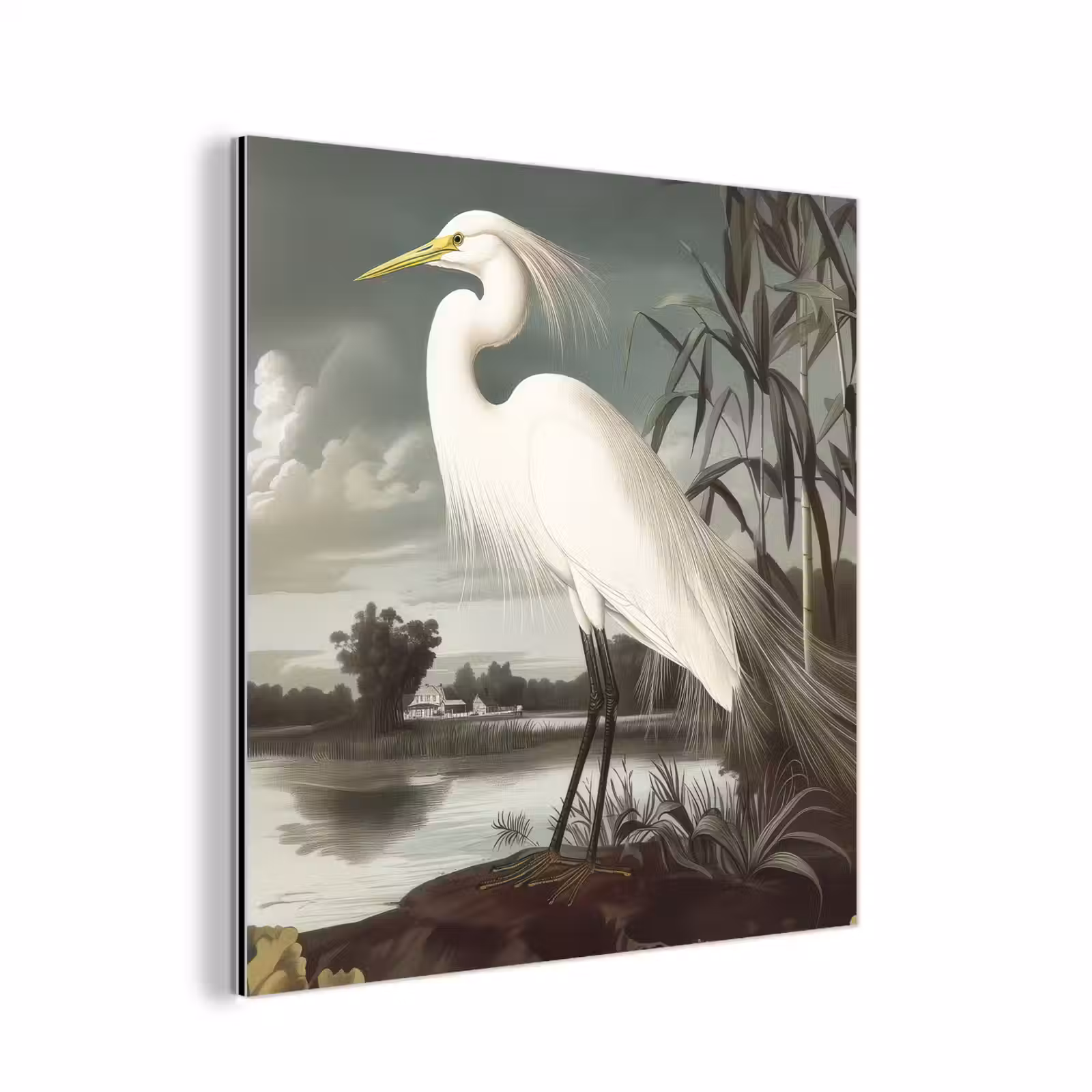 Aluminium schilderij - Reiger - Planten - Wolken - Wit — 1