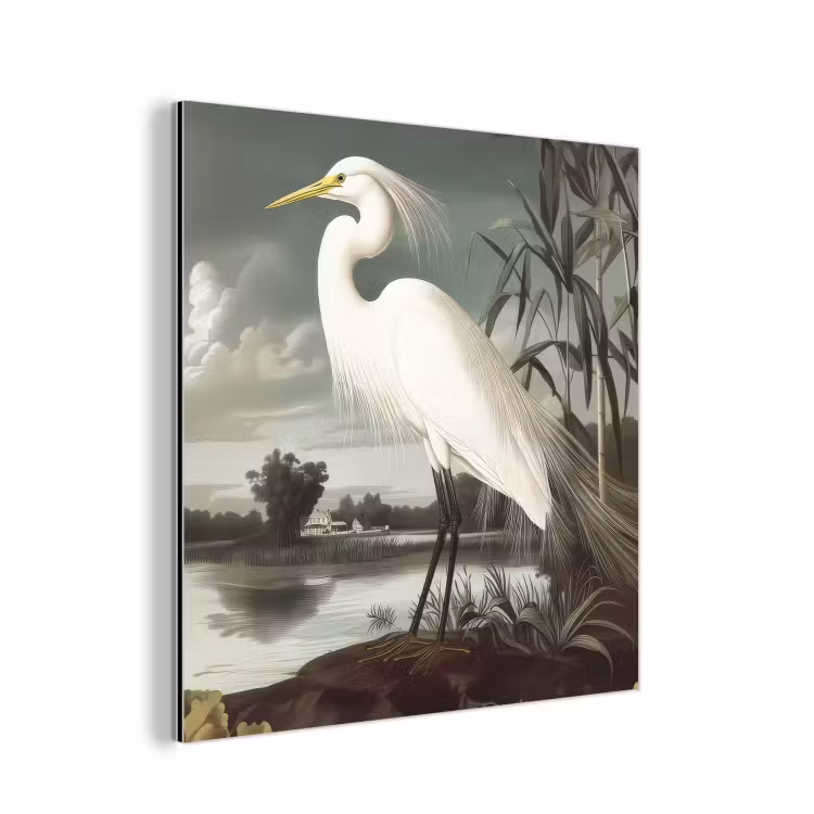Aluminium schilderij - Reiger - Planten - Wolken - Wit — 1