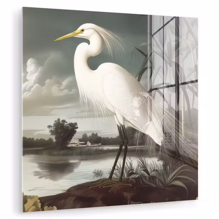 Glas schilderij - Reiger - Planten - Wolken - Wit — 1
