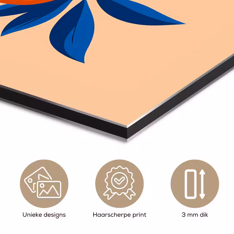 Aluminium schilderij - Illustratie - Sinaasappels - Donkerblauw - Bloemen — 7