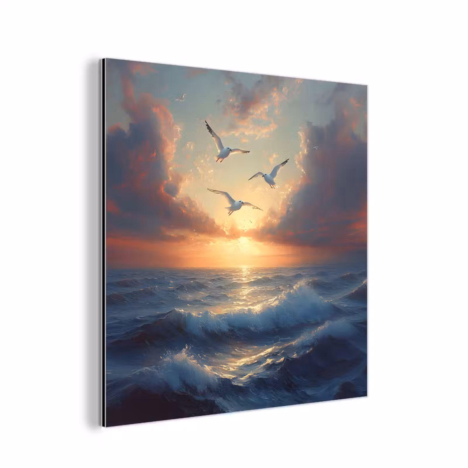 Aluminium schilderij - Meeuwen - Zonsondergang - Zee - Wolken — 1