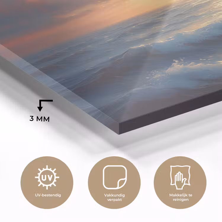 Glas schilderij - Meeuwen - Zonsondergang - Zee - Wolken — 3