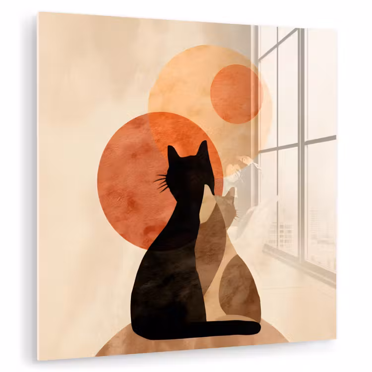 Glas schilderij - Katten - Zwart - Abstract - Cirkels — 1