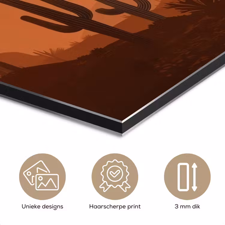 Aluminium schilderij - Landschap - Woestijn - Cactussen - Zon — 7