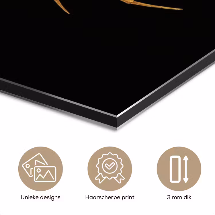Aluminium schilderij - Spin - Goud - Minimalistisch - Poten — 7
