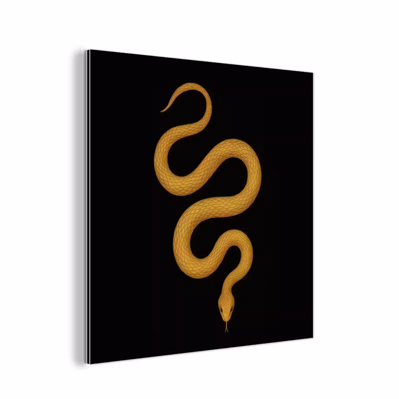 Aluminium schilderij - Slang - Minimalistisch - Goud — 1