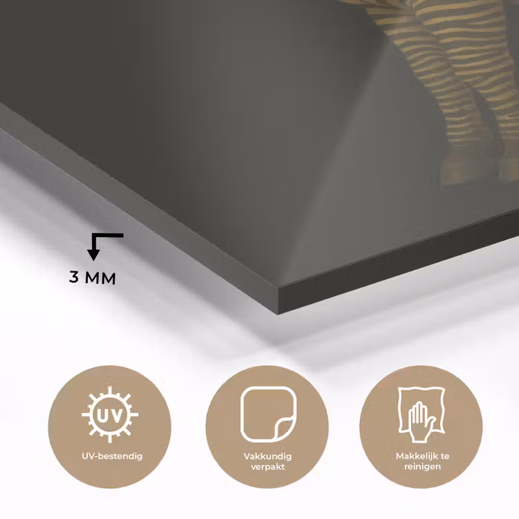 Glas schilderij - Zebra - Strepen - Goud — 3