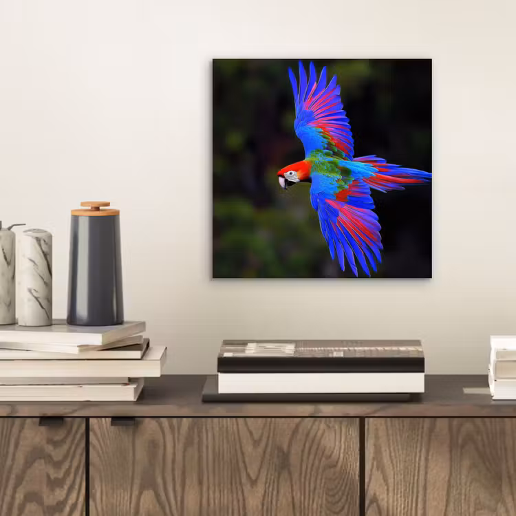 Aluminium schilderij - Felgekleurd - Papegaai - Bos - Vleugels — 2