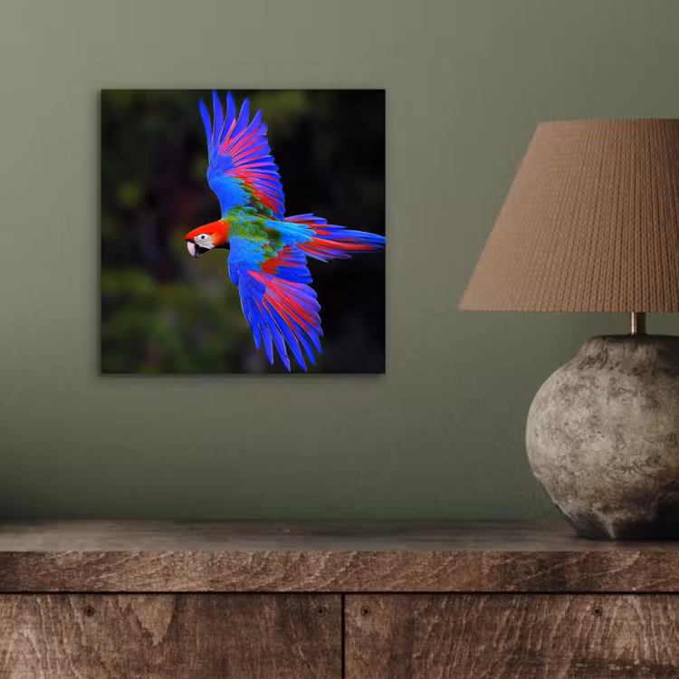 Aluminium schilderij - Felgekleurd - Papegaai - Bos - Vleugels — 3