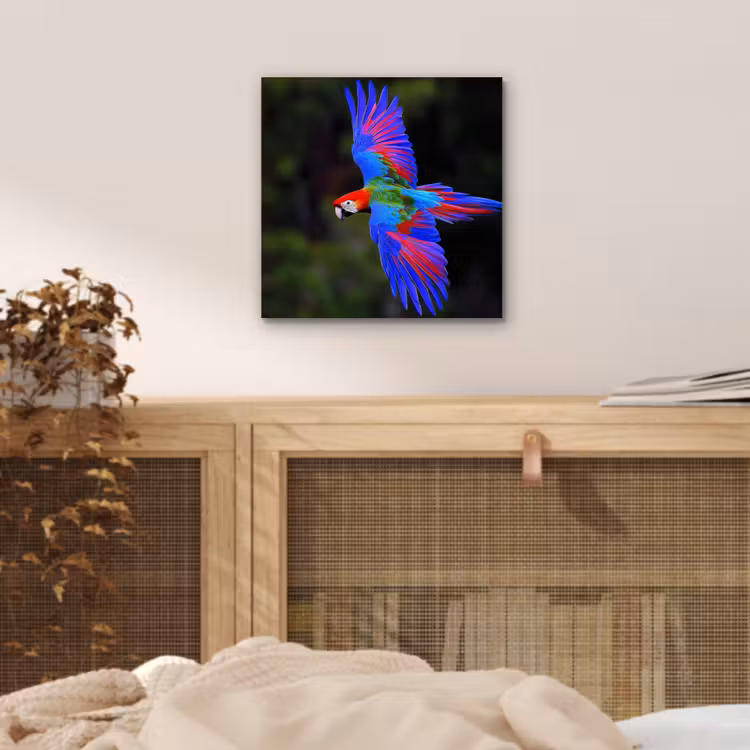 Aluminium schilderij - Felgekleurd - Papegaai - Bos - Vleugels — 4