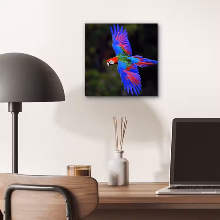 Aluminium schilderij - Felgekleurd - Papegaai - Bos - Vleugels — 6