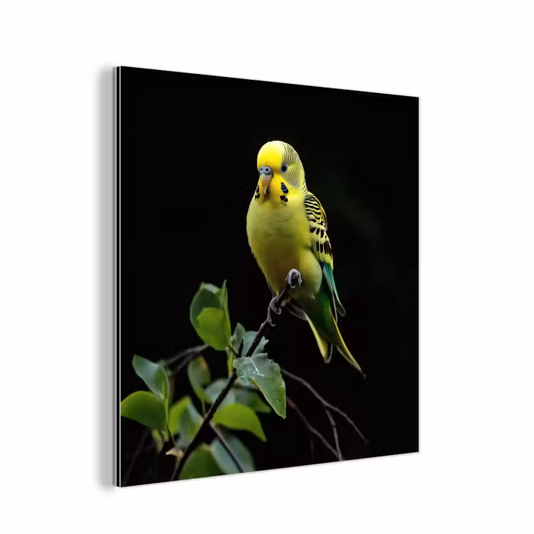 Aluminium schilderij - Parkiet - Tak - Bladeren - Geel — 1