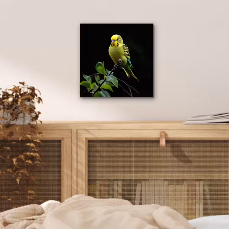 Aluminium schilderij - Parkiet - Tak - Bladeren - Geel — 4