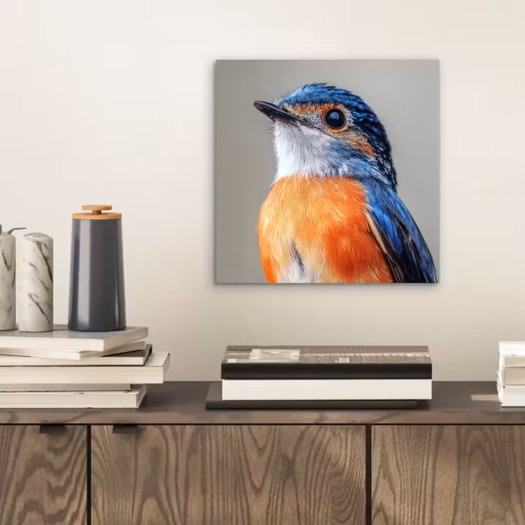 Aluminium schilderij - Kleurrijk - Vogeltje - Veren - Blauw — 2