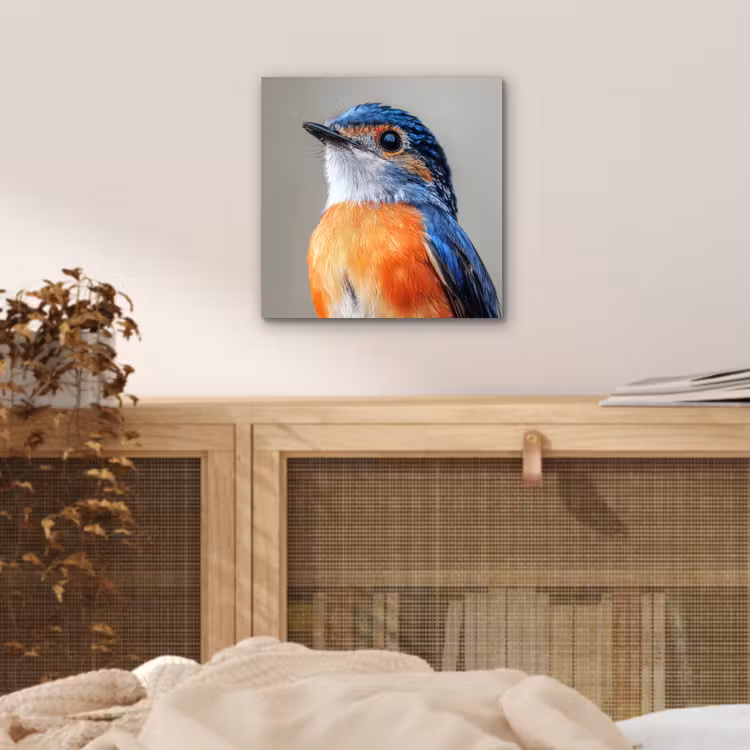 Aluminium schilderij - Kleurrijk - Vogeltje - Veren - Blauw — 4