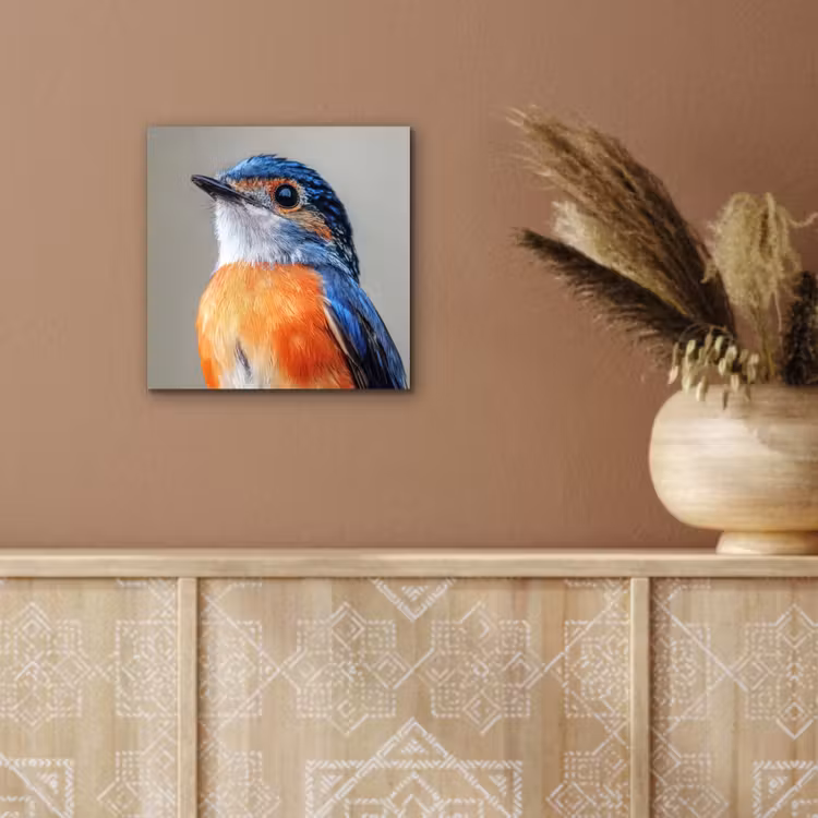 Aluminium schilderij - Kleurrijk - Vogeltje - Veren - Blauw — 5