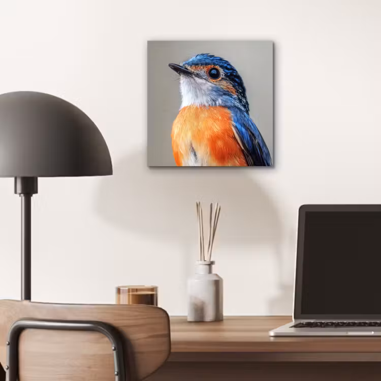 Aluminium schilderij - Kleurrijk - Vogeltje - Veren - Blauw — 6