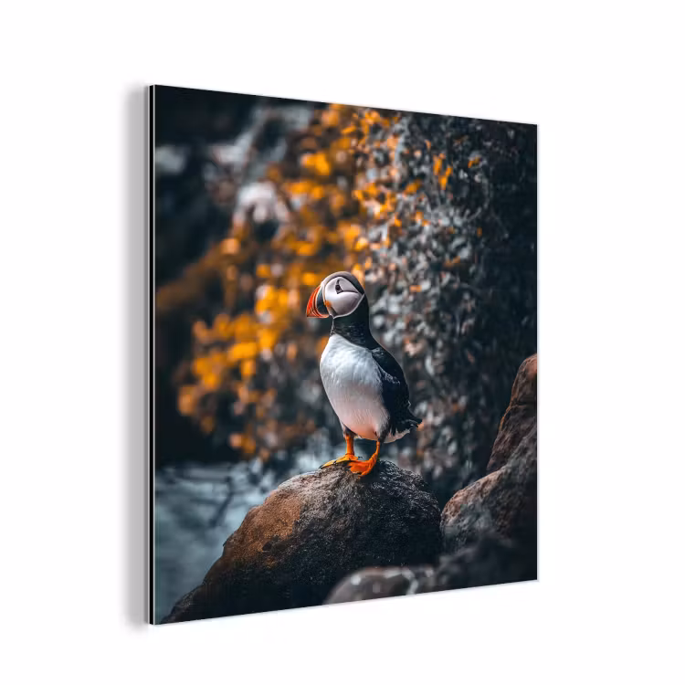 Aluminium schilderij - Papegaai - Vogel - Rots - Wit — 1