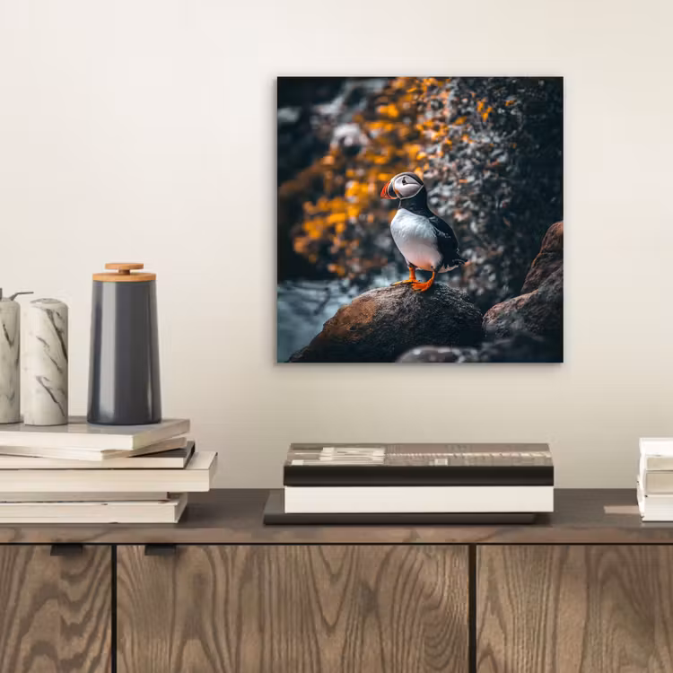 Aluminium schilderij - Papegaai - Vogel - Rots - Wit — 2
