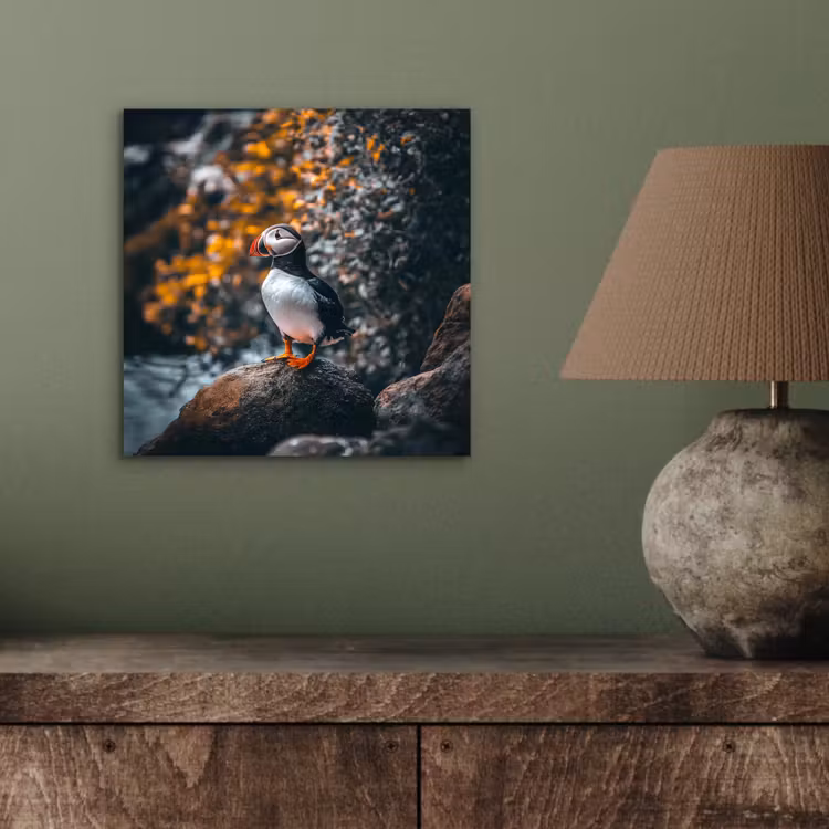 Aluminium schilderij - Papegaai - Vogel - Rots - Wit — 3