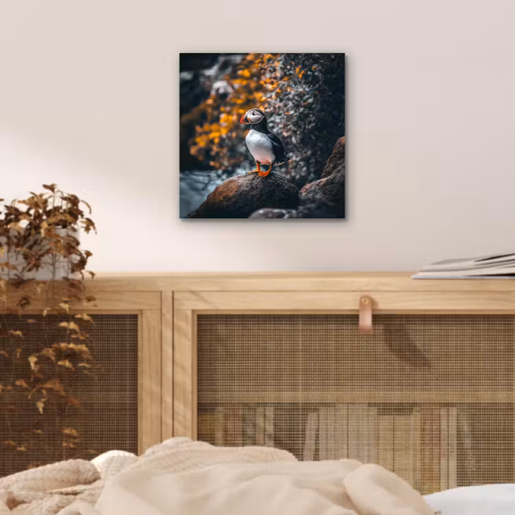 Aluminium schilderij - Papegaai - Vogel - Rots - Wit — 4