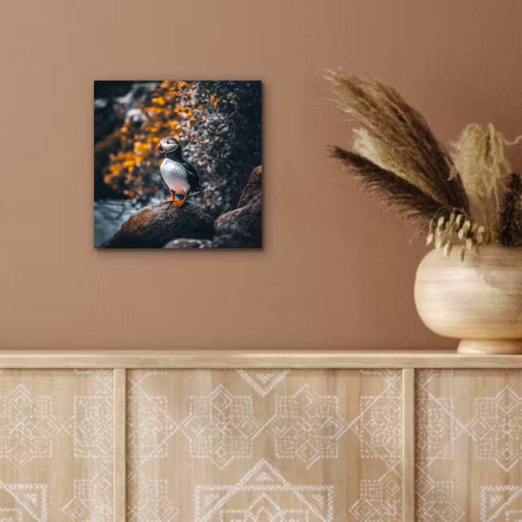 Aluminium schilderij - Papegaai - Vogel - Rots - Wit — 5