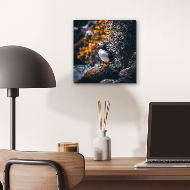 Aluminium schilderij - Papegaai - Vogel - Rots - Wit — 6