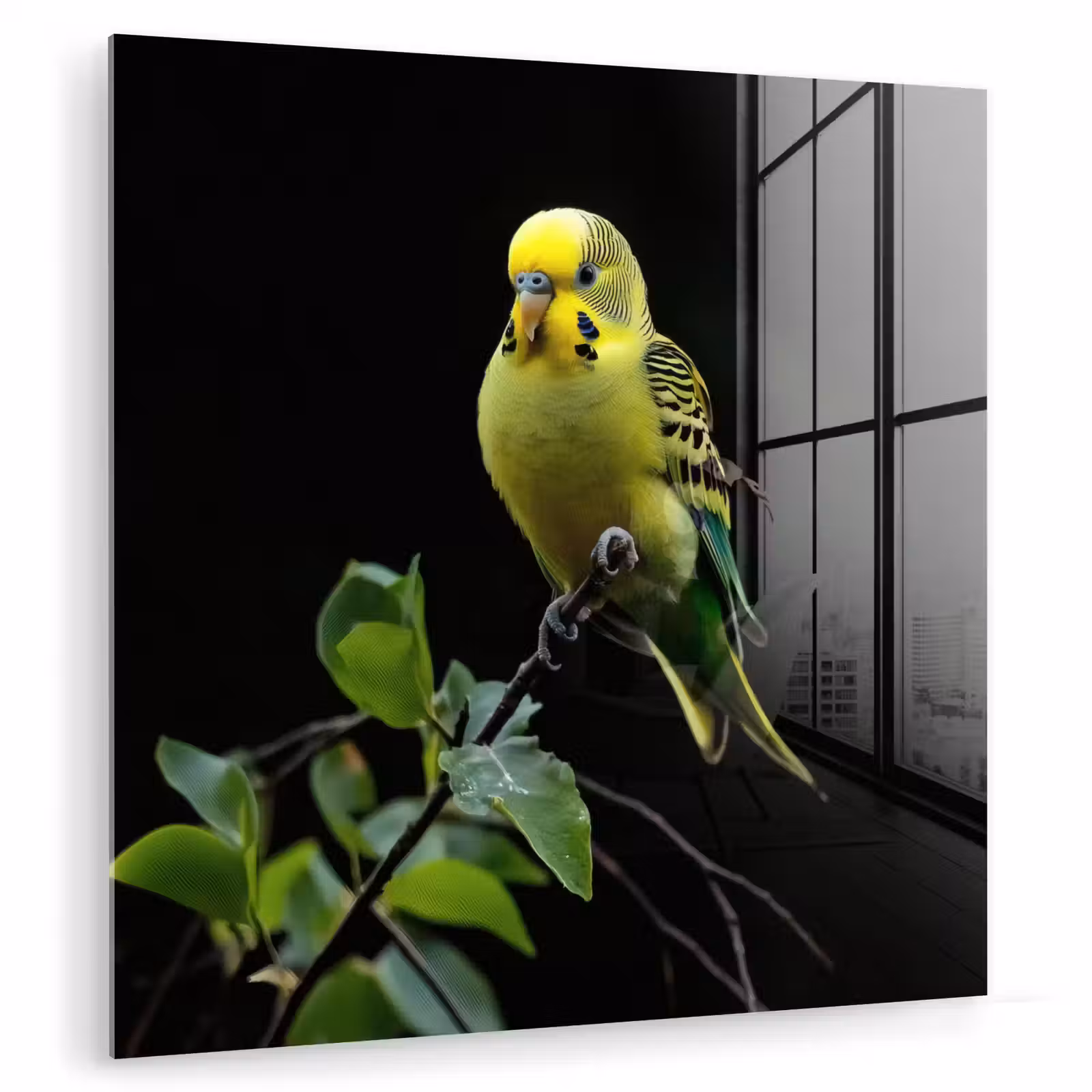 Glas schilderij - Parkiet - Tak - Bladeren - Geel — 1