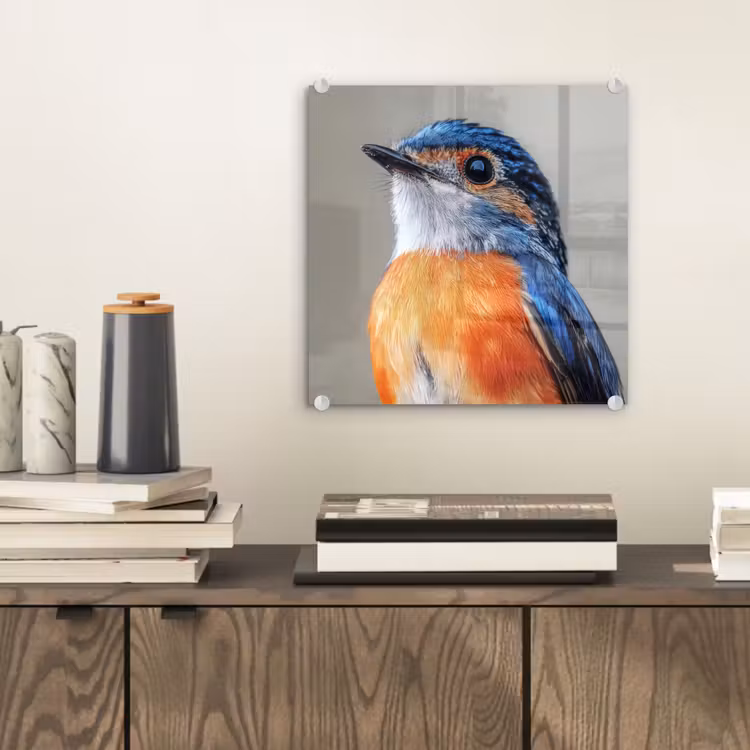 Glas schilderij - Kleurrijk - Vogeltje - Veren - Blauw — 2