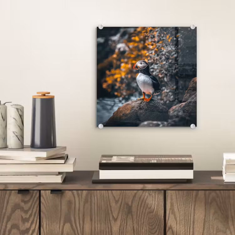 Glas schilderij - Papegaai - Vogel - Rots - Wit — 2