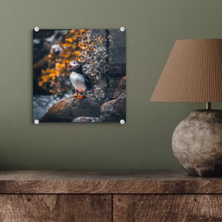 Glas schilderij - Papegaai - Vogel - Rots - Wit — 4