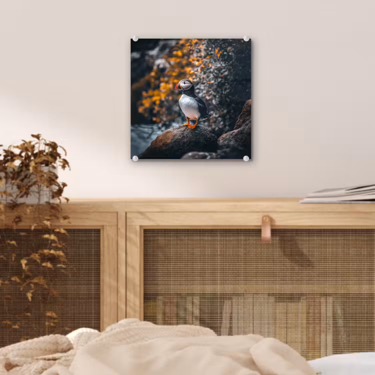 Glas schilderij - Papegaai - Vogel - Rots - Wit — 5
