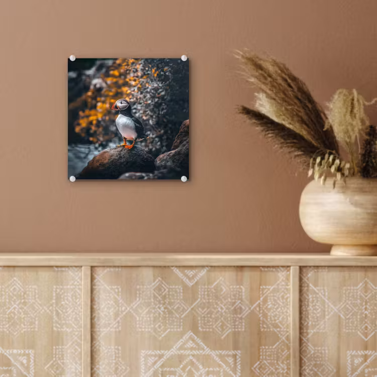 Glas schilderij - Papegaai - Vogel - Rots - Wit — 6
