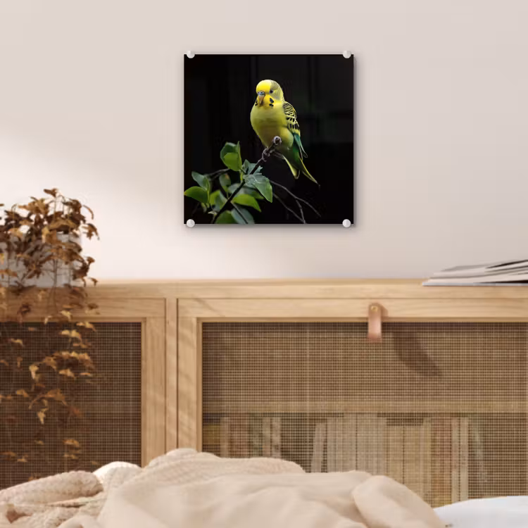 Glas schilderij - Parkiet - Tak - Bladeren - Geel — 5