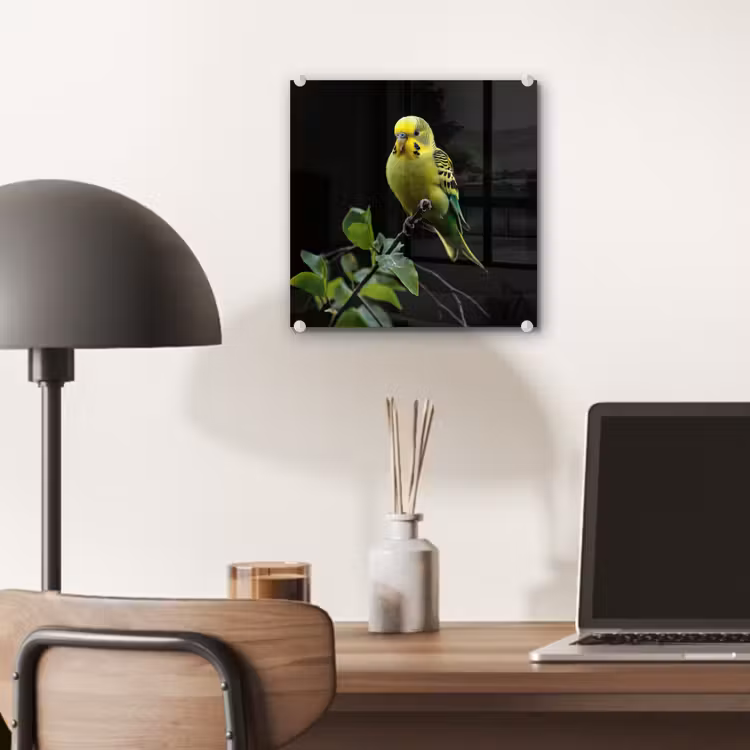 Glas schilderij - Parkiet - Tak - Bladeren - Geel — 7