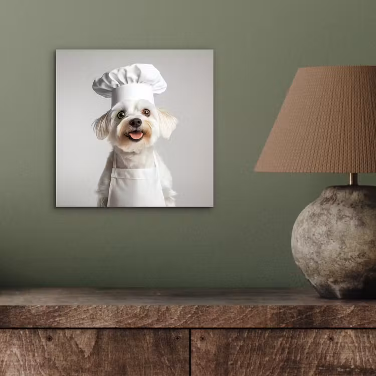 Aluminium schilderij - Witte Hond met Koksmuts — 3