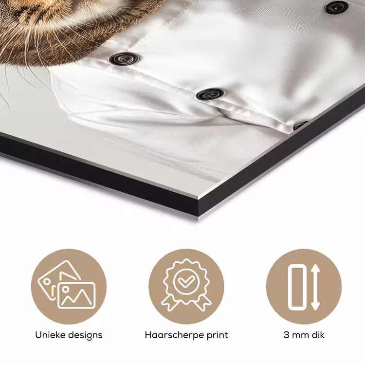 Aluminium schilderij - Kat en Hond Als Kok — 7