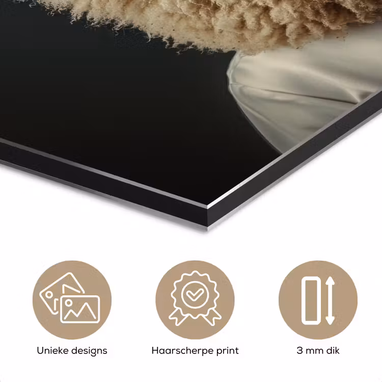 Aluminium schilderij - Schaap Als Kok — 7
