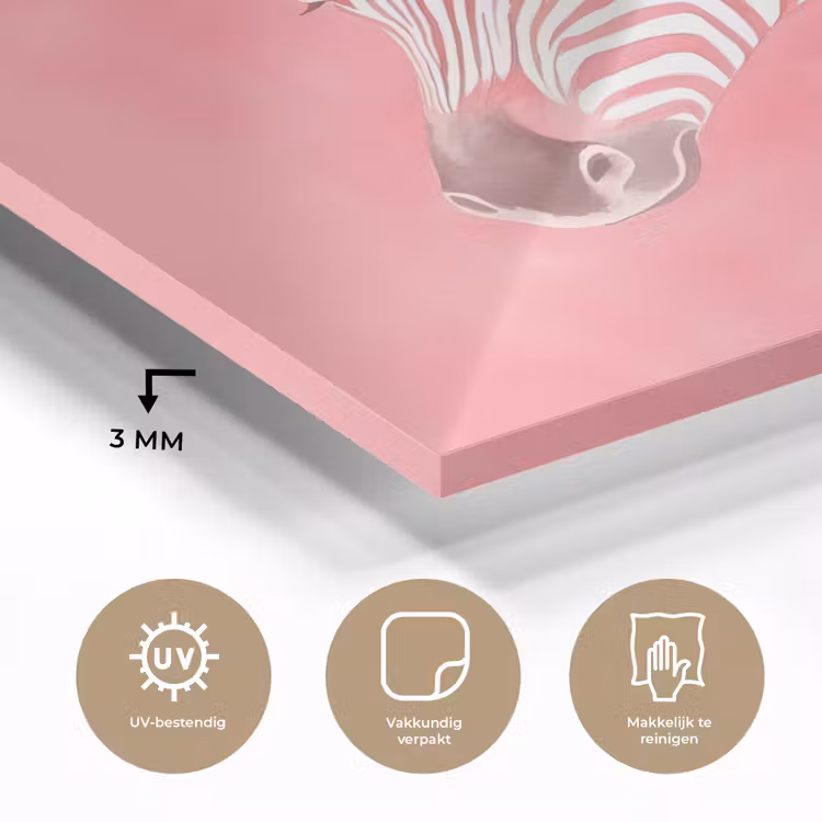 Glas schilderij - Zebra - Pink - Verf — 3