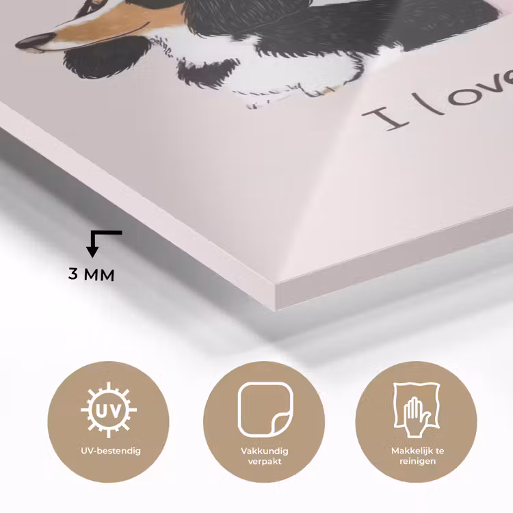 Glas schilderij - Hond - Teckel - Valentijn - Love — 3