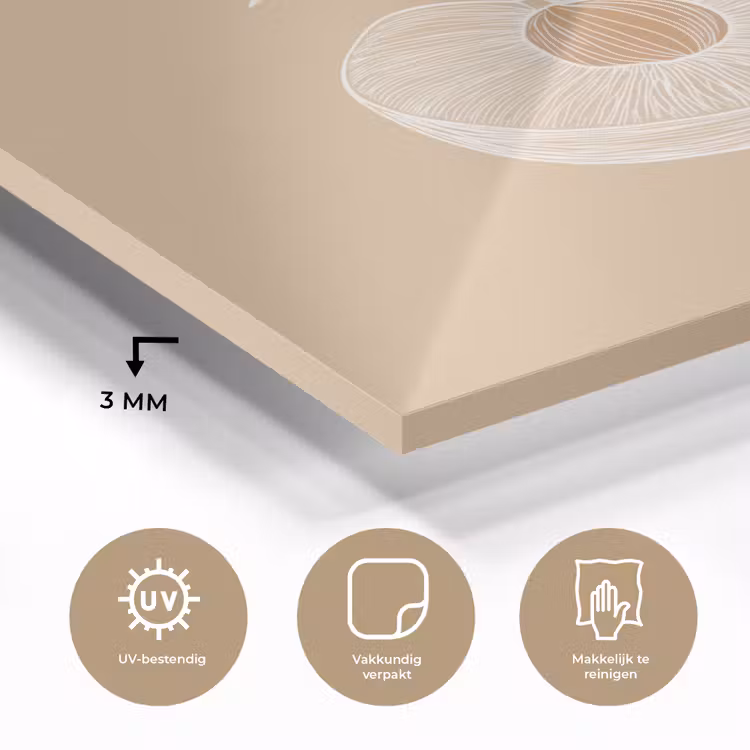 Glas schilderij - Perzik - Lijntekening - Pit - Beige — 3
