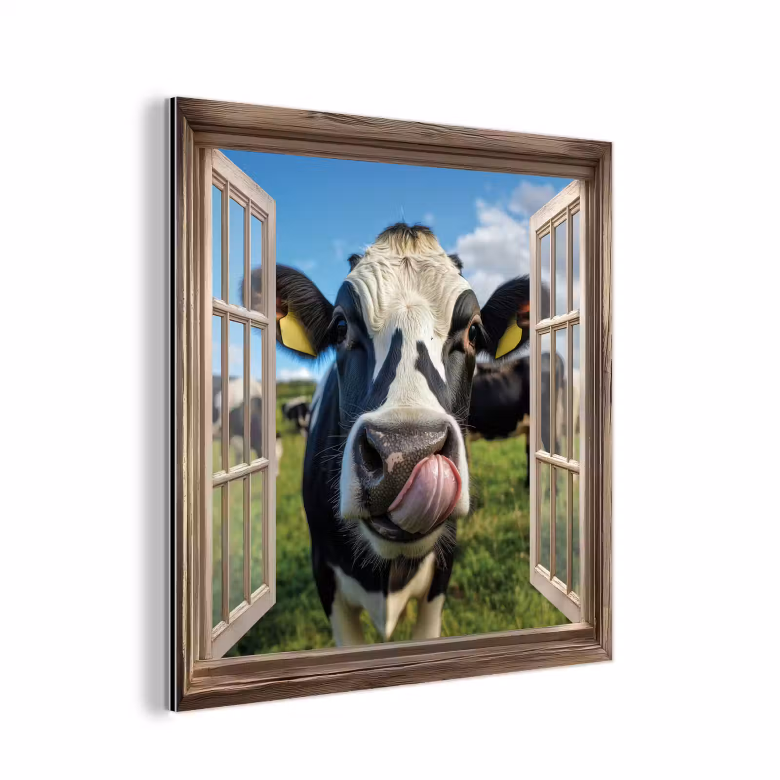 Aluminium schilderij - Doorkijk - Koe - Weiland - Dieren - Natuur — 1