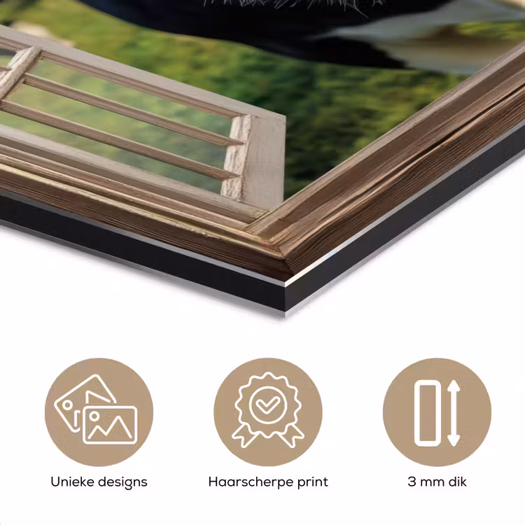 Aluminium schilderij - Doorkijk - Koe - Weiland - Dieren - Natuur — 7