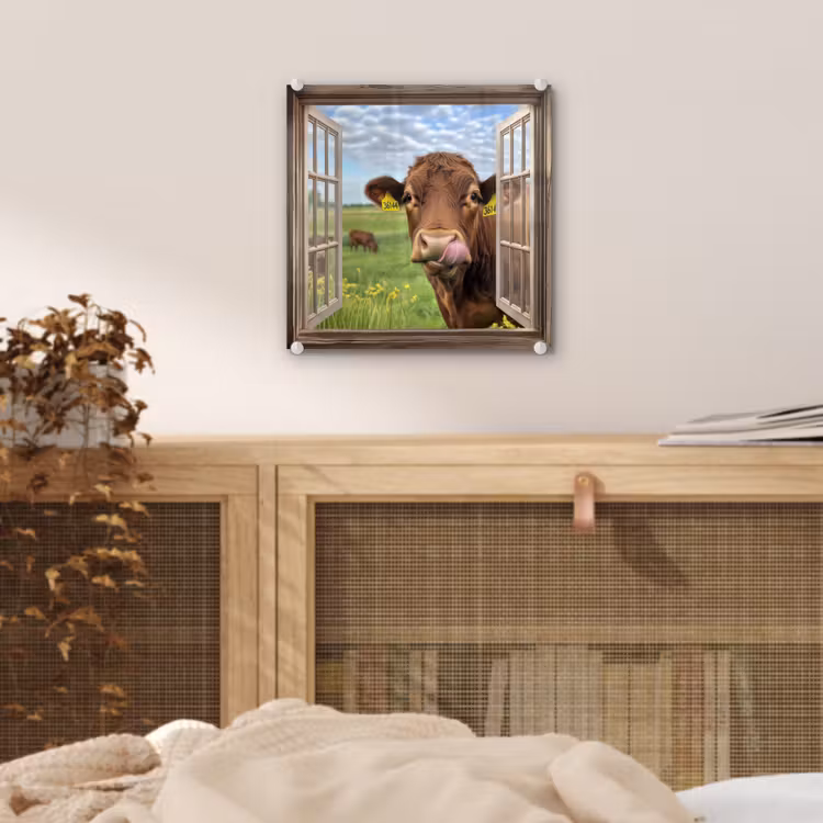 Glas schilderij - Doorkijk - Koe - Weiland - Landschap - Dieren — 5