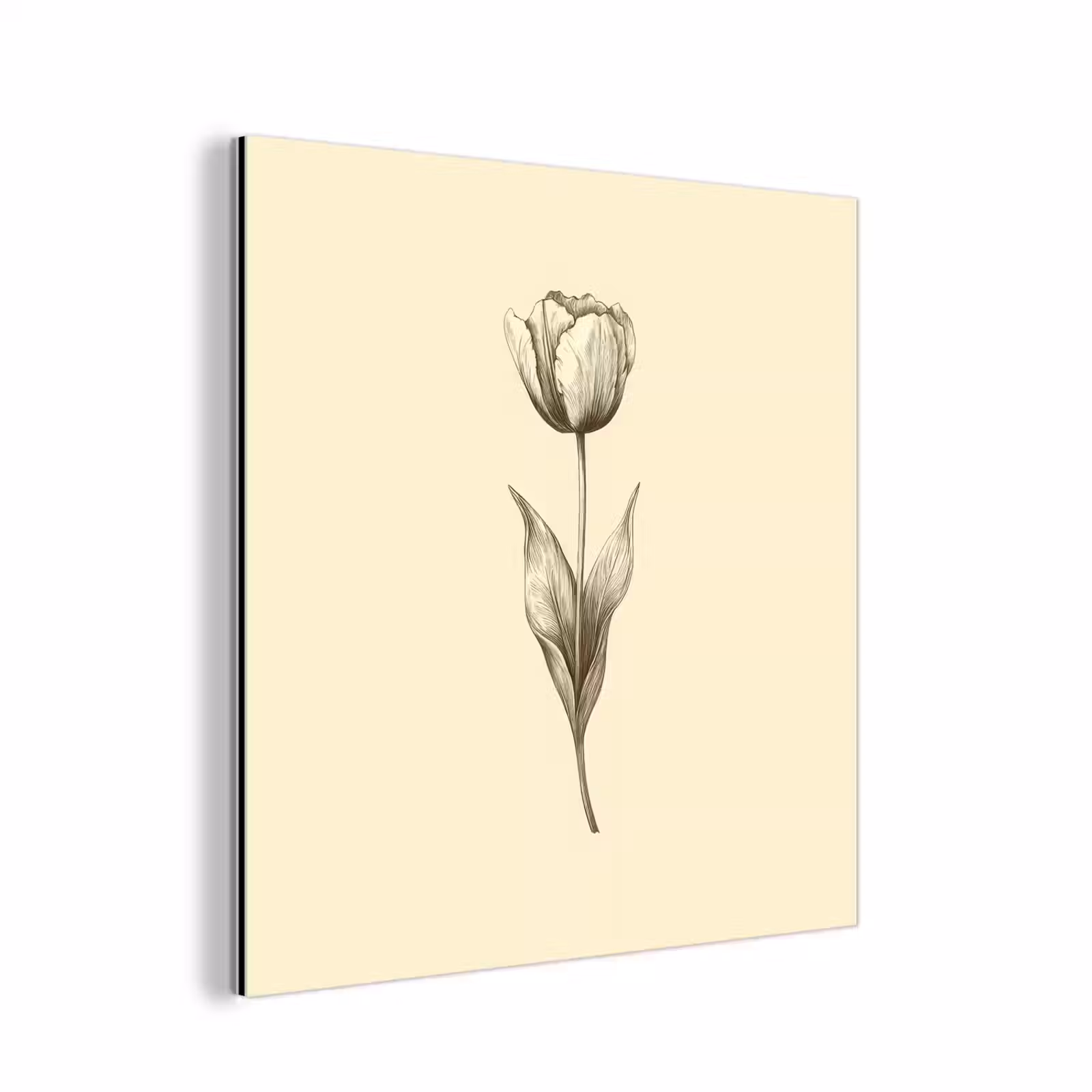 Aluminium schilderij - Illustratie - Tulp - Zwart — 1