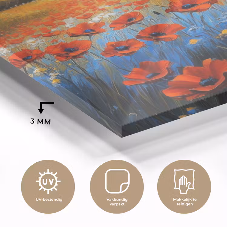 Glas schilderij - Klaproos - Bloemenveld - Kleurrijk — 3